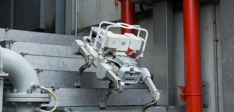 好用的租观光车实用的