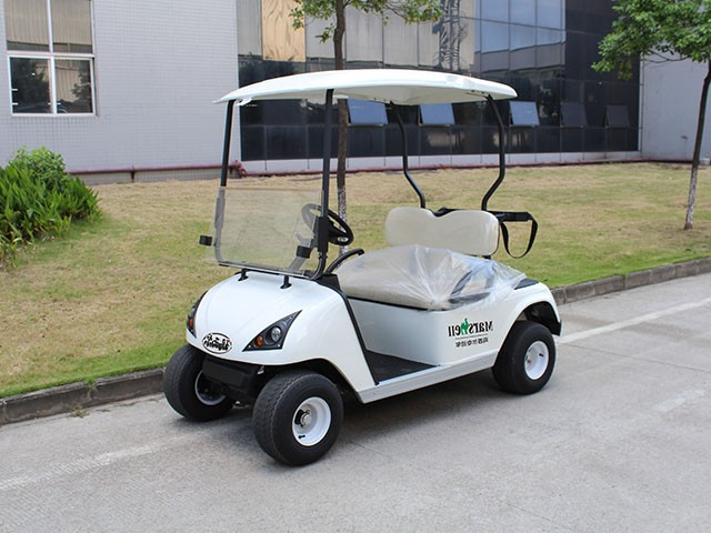 二座电动高尔夫球车DG-C2 